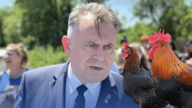 Medicul Ștefan Busnatu, prorector la Universitatea de Medicină și Farmacie „Carol Davila”, îl apără pe Nelu Tătaru, acuzat de DNA de luare de mită