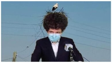 Nicușor Dan se urcă pe Lovitura de Stat: vrea să fie președinte nelegitim, dar n-are nicio șansă