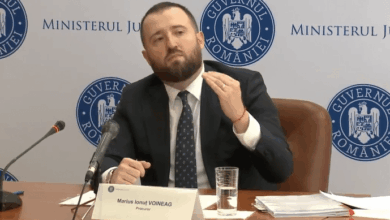 Fiica șoferului lui Marius Voineag, procurorul șef al DNA, a fost angajată la Curtea de Conturi deși nu are studii superioare