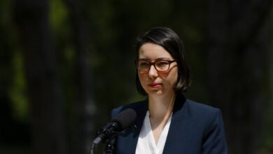 Ana Ciceală, candidatul antisistem la Primăria Capitalei
