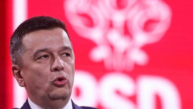 Adriana Georgescu, despre Sorin Grindeanu: ‘Are hobby-ul să toarne la DNA’